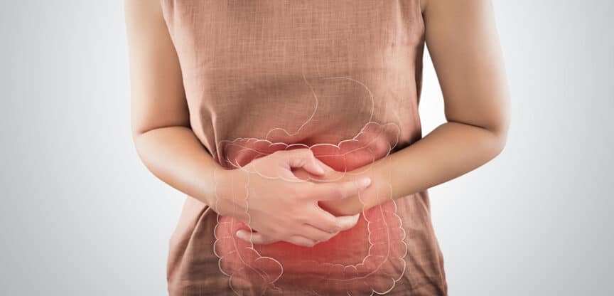 Entzündungsprozesse Darmmikrobion Nervensystem