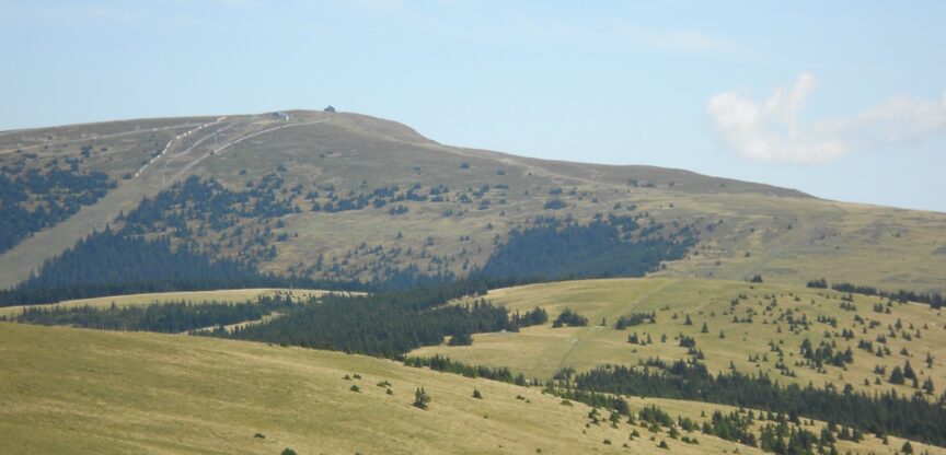 Sanfte Almenlandschaft vor blauem Himmel.