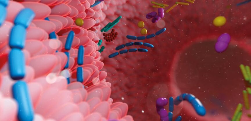 Bunte Mikroskopaufnahme Darm und Bakterien.