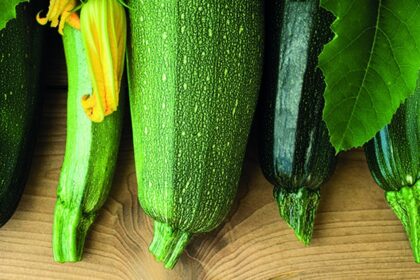 Verdauung, Rezept