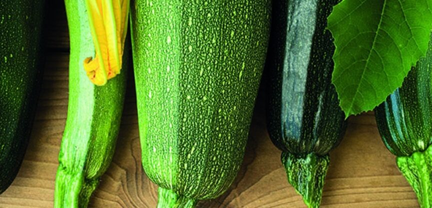 Verdauung, Rezept