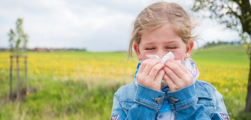 heuschnupfen