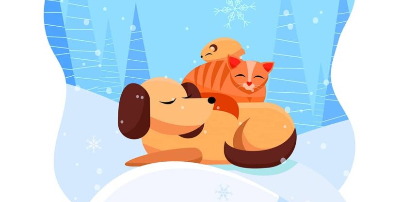 Tiere im Schnee