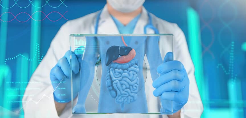 Arzt mit blauen Handschuhen hält ein transparentes Modell des menschlichen Verdauungssystems.