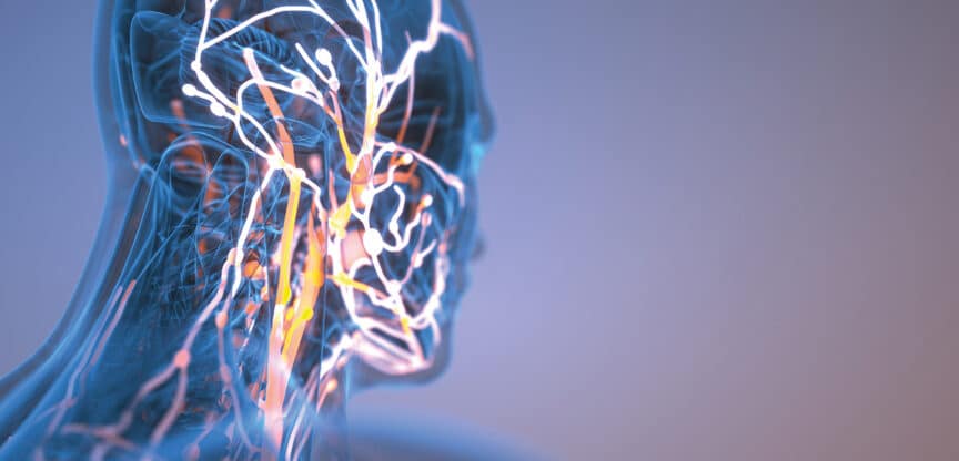 Digitale Darstellung eines menschlichen Kopfes mit leuchtenden Nervenbahnen.