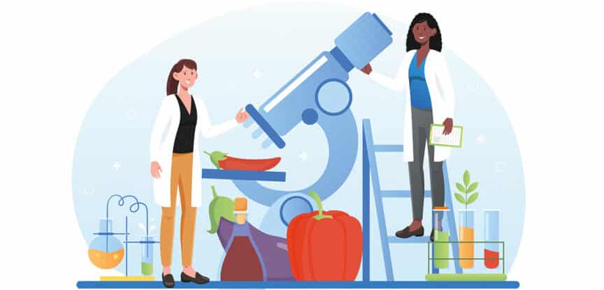 Illustration von zwei Wissenschaftlerinnen mit Laborutensilien, Gemüse und einem großen Mikroskop zur Forschung im Bereich Ernährung oder Lebensmittelsicherheit.