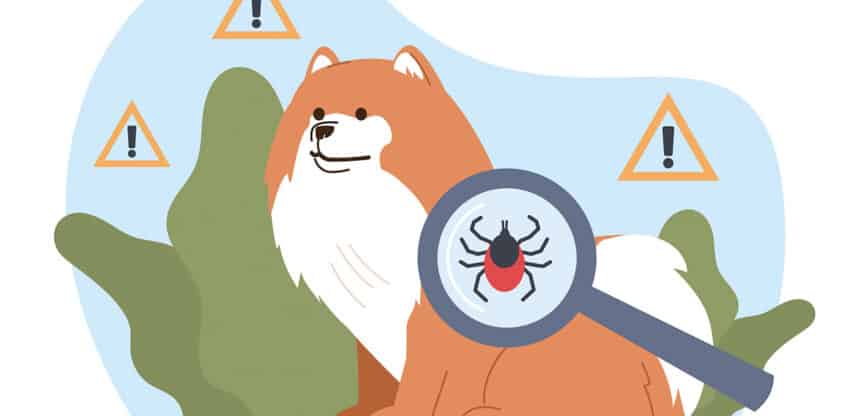 Illustration eines Hundes, der von einer Zecke befallen ist – eine Lupe zeigt das Insekt, umgeben von Warnsymbolen in einer natürlichen Umgebung.
