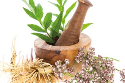 Mörser mit frischen Kräutern, Baldrianwurzel und blühendem Baldrian – Symbol für Naturheilkunde und pflanzliche Medizin.