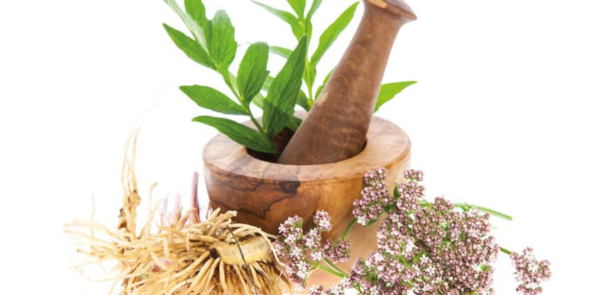 Mörser mit frischen Kräutern, Baldrianwurzel und blühendem Baldrian – Symbol für Naturheilkunde und pflanzliche Medizin.