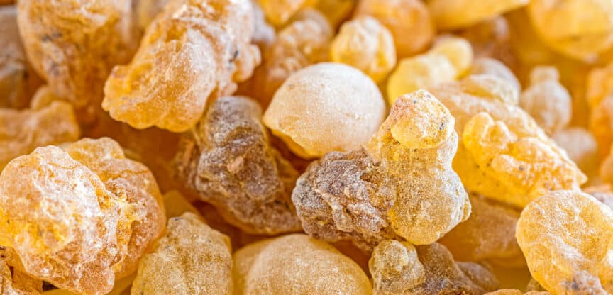 Nahaufnahme von getrocknetem indischem Weihrauchharz in goldgelben und braunen Farbtönen.