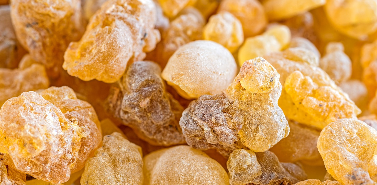 Nahaufnahme von getrocknetem indischem Weihrauchharz in goldgelben und braunen Farbtönen.
