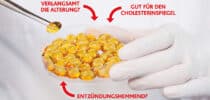 Ein Laborbild mit einer Schale voller goldgelber Omega-3-Kapseln. Rote Pfeile mit Texten wie „Verlangsamt die Alterung?“, „Gut für den Cholesterinspiegel“ und „Entzündungshemmend?“ stellen die potenziellen gesundheitlichen Vorteile in Frage.
