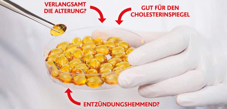 Ein Laborbild mit einer Schale voller goldgelber Omega-3-Kapseln. Rote Pfeile mit Texten wie „Verlangsamt die Alterung?“, „Gut für den Cholesterinspiegel“ und „Entzündungshemmend?“ stellen die potenziellen gesundheitlichen Vorteile in Frage.