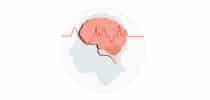 Illustration eines menschlichen Kopfprofils mit sichtbarem Gehirn und roter Wellenlinie – Symbolbild für Gehirnaktivität, neurologische Erkrankungen oder EEG-Messungen.