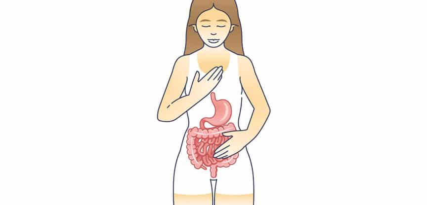 Illustration einer Frau mit sichtbaren Magen- und Darmorganen, die sich beruhigend die Brust und den Bauch hält.