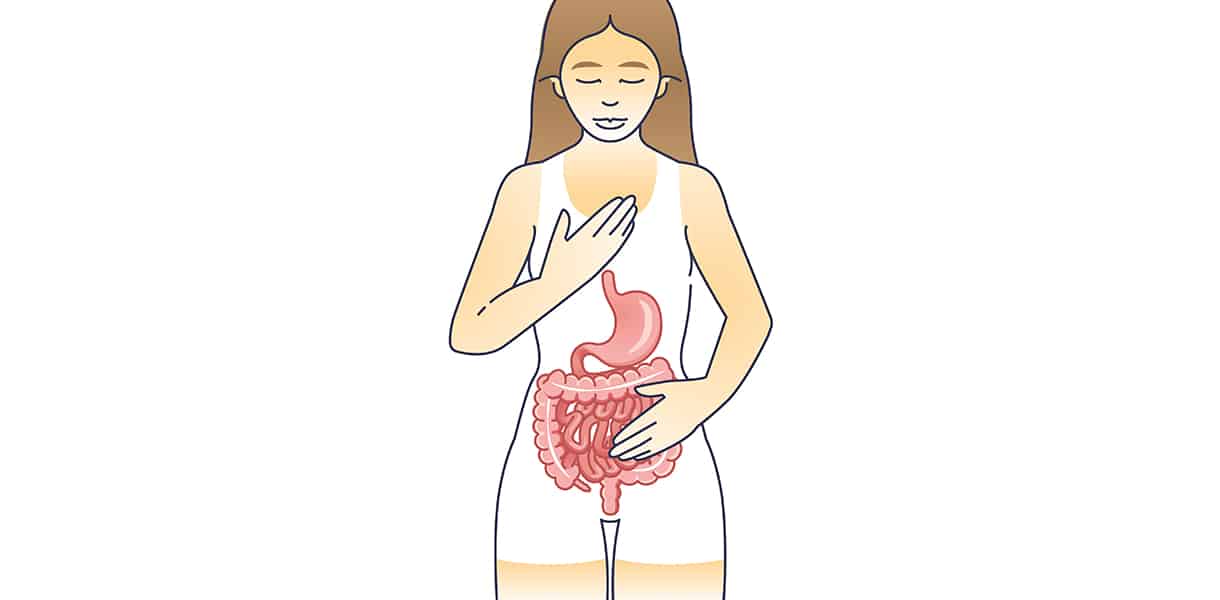 Illustration einer Frau mit sichtbaren Magen- und Darmorganen, die sich beruhigend die Brust und den Bauch hält.