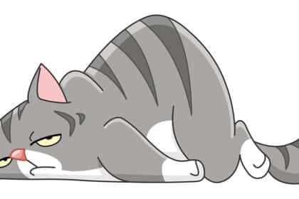 Illustration einer grauen, müde wirkenden Katze mit gesenktem Kopf und hochgewölbtem Rücken.