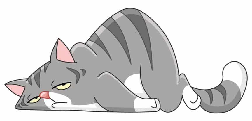 Illustration einer grauen, müde wirkenden Katze mit gesenktem Kopf und hochgewölbtem Rücken.