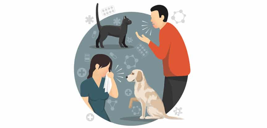Illustration: Frau mit Taschentuch reagiert allergisch auf Tiere, während ein Mann und Katze und Hund daneben stehen.