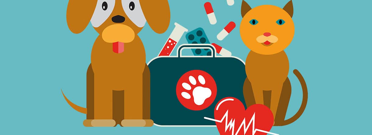 Herzenssache Haustier