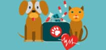 Illustration von Hund und Katze neben einer Tierarzt-Tasche mit Medikamenten und Herzsymbol.