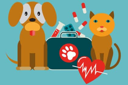 Illustration von Hund und Katze neben einer Tierarzt-Tasche mit Medikamenten und Herzsymbol.