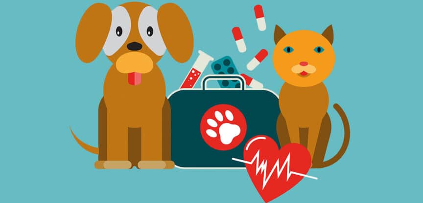Illustration von Hund und Katze neben einer Tierarzt-Tasche mit Medikamenten und Herzsymbol.