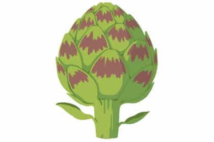 Illustration einer grünen Artischocke mit Stiel und Blättern.