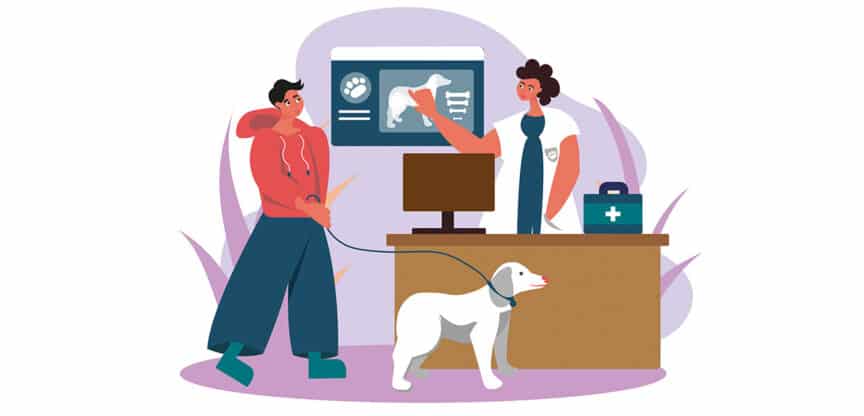 Illustration eines Tierarztbesuchs mit Hund, Besitzer und medizinischer Untersuchung am Bildschirm