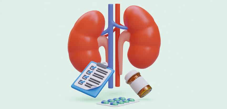 3D-Darstellung von Nieren mit Checkliste, Medikamentenflasche und Tabletten.