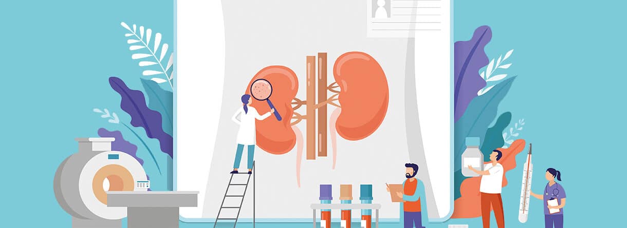 Illustration einer Nierendiagnostik mit medizinischem Personal, Scan-Gerät, Laborproben und vergrößerter Darstellung der Nieren auf einer Patientenakte.