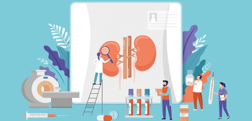 Illustration einer Nierendiagnostik mit medizinischem Personal, Scan-Gerät, Laborproben und vergrößerter Darstellung der Nieren auf einer Patientenakte.