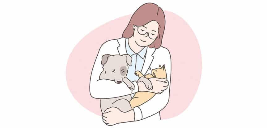 Illustration einer Tierärztin, die einen Hund und eine Katze hält.