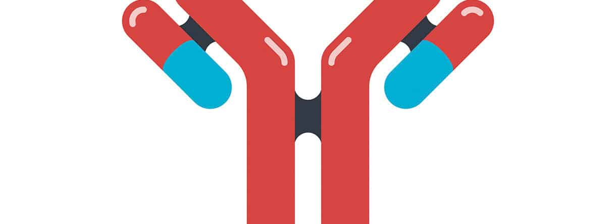 Illustration eines Y-förmigen Antikörpers mit gebundenen Medikamenten – Symbol für moderne Antikörpertherapien und zielgerichtete Krebsbehandlung.