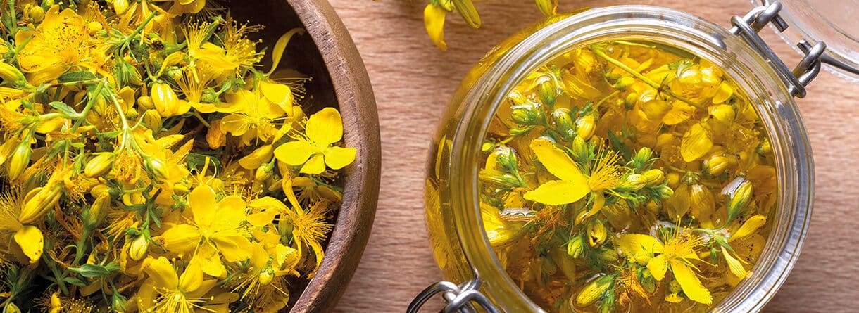 Frische Johanniskrautblüten und ein Glas mit Johanniskrautöl auf einem Holztisch – traditionelle Heilpflanze zur Herstellung pflanzlicher Auszüge.