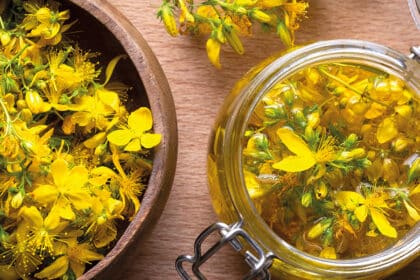 Frische Johanniskrautblüten und ein Glas mit Johanniskrautöl auf einem Holztisch – traditionelle Heilpflanze zur Herstellung pflanzlicher Auszüge.