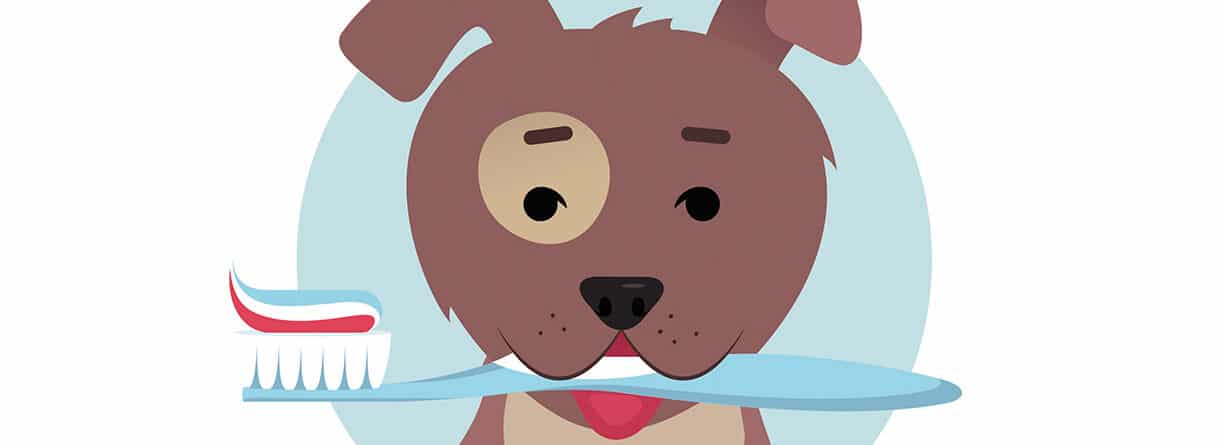 Illustration eines Hundes mit Zahnbürste im Maul – Symbolbild für Zahnpflege, Mundhygiene und Zahnprophylaxe bei Hunden.