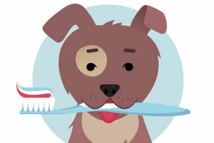 Illustration eines Hundes mit Zahnbürste im Maul – Symbolbild für Zahnpflege, Mundhygiene und Zahnprophylaxe bei Hunden.