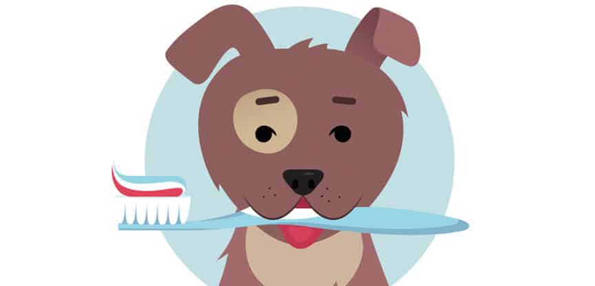 Illustration eines Hundes mit Zahnbürste im Maul – Symbolbild für Zahnpflege, Mundhygiene und Zahnprophylaxe bei Hunden.