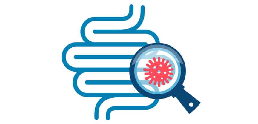 Illustration des Darms mit Lupe und hervorgehobenem Krankheitserreger als Symbol für Darmgesundheit, Infektionen und Diagnostik.