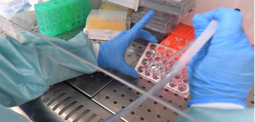 Laborarbeit mit Pipette und Zellkulturplatte zur wissenschaftlichen Untersuchung von Covid-19.