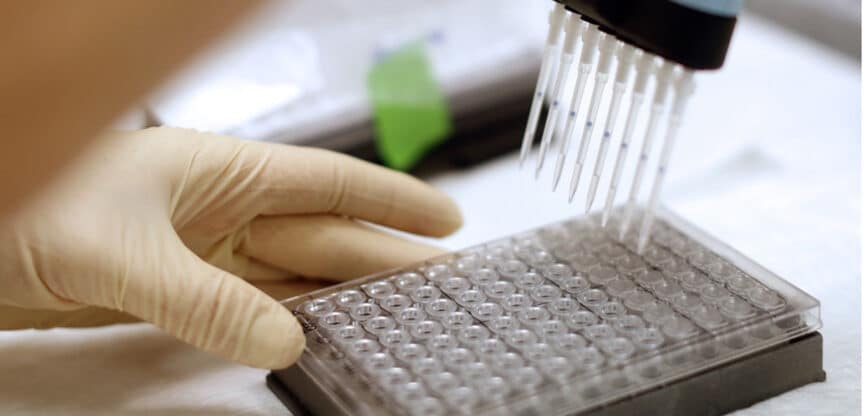 Laborarbeit mit Mehrkanalpipette und Mikrotiterplatte zur Erforschung und Entwicklung neuer Impfstoffe.
