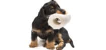 Kleiner Hund hält eine Rolle Toilettenpapier im Maul als Symbol für Verdauungsprobleme und Durchfall.